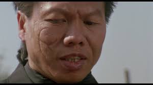 Double Impact (1991)