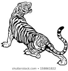 Black And White Japanese Tiger Tattoo Designs Pin By Piccot Chaves On Lettering With Images Tiger Tattoo Design Tiger Tattoo Tiger Drawing