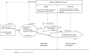 Personality disorders exist when people's personality traits become so pronounced, rigid, and maladaptive that the person has problems at work, school, and/or in dealing with other people. A Multidimensional Neurobehavioral Model Of Personality Disorders Chapter 20 The Neuropsychology Of Mental Illness