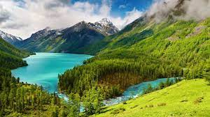 Check spelling or type a new query. Top 2048x1152 Nature Wallpaper Hd Download Wallpapers Book Your 1 Source For Free Download Hd 4k High Quality Wallpapers