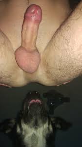 Cachorro Lambendo O Cu De Homem Gay - Zoofilia