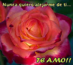 Check spelling or type a new query. Te Amo Amor Bonitas Frases Con Rosas Y Corazones Fur Android Apk Herunterladen