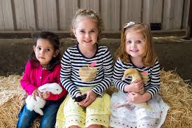 Maybe you would like to learn more about one of these? Birthday Parties At The Hahndorf Farm Barn Kids In Adelaide Activities Events Things To Do In Adelaide With Kids