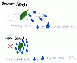 Transipation is a project dedicated to supporting linguists with phonetic transcription. Stoffwechsel Transpiration Und Transpirationssog Bei Pflanzen