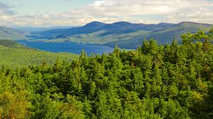 Maybe you would like to learn more about one of these? Lake George Ny Vacation Rentals House Rentals More Vrbo