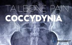 Contribute to dataarts/tailbone development by creating an account on github. Tailbone Pain Coccydynia Ergodirect Blog