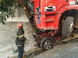 A abelha vive menos de 40 dias, visita pelo menos 1000 flores e prod. Motorista De Caminhao Envolvido Em Acidente No Santo Antonio E Preso Por Homicidio Horizontes Home