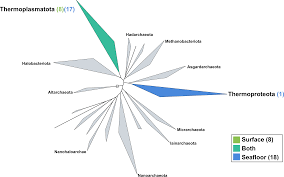 Today, ah sam is in its third generation of leongs, with art's children steve, scott, shawn, and stacey hiraoka at the helm. A Total Of 219 Metagenome Assembled Genomes Of Microorganisms From Icelandic Marine Waters Peerj