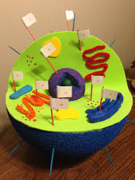 Animal Cell 3d Model Animal Cell Animal Cell Project Animal Cells Model