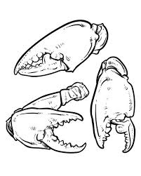 80 Off Sale Crab Claws Isolated On White Background Hand Drawn Crab Vector Crab Claws With Clipping Path Seaf Art Poster Design Etsy Drawing Zodiac Designs