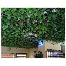 Your wedding is a very special day for you. 2 5m Faux Plants For Home Office Ceiling Decorations Man Made Ivy Leaf Garland Vine Fake Foliage Creeper Greenery Jungle Party Artificial Plants Aliexpress