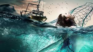<p>a mermaid is ripped from the pacific, her tail is chopped off and she's thrown into a mental home where no one believes she is a mermaid.</p. Mermaid Down 2019 Najlepsze Filmy I Seriale