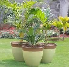 We did not find results for: Ngong Road Decors Flowers And Pots Home Facebook