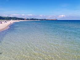 The panda newsletter informs you about new plugins, important changes and upcoming maintenance windows with longer downtime. Ferienhaus Kleeblatt Boltenhagen