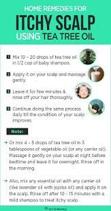 Melaleuca Oil Usage And Benefits Tea Tree Oil For Acne Itchy Scalp Best Tea Tree Oil