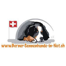 Auch für nierenerkrankungen ist die hunderasse anfällig. Zuhause Gesucht