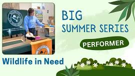 Big Summer Series: Wildlife in Need