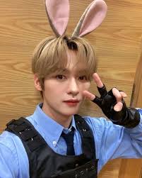 Lee Know in Zootopia