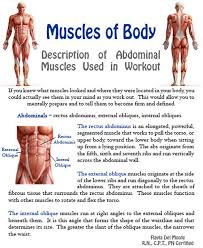 See full list on healthpages.org Fitness Tip Tuesday Muscles Of The Body The Abdominal Muscles Flavilicious Fitness Muscle Body Abdominal Muscles Major Muscles