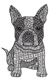 Click the boston terrier coloring pages to view printable version or color it online (compatible with ipad and android tablets). Pin On Embroidery