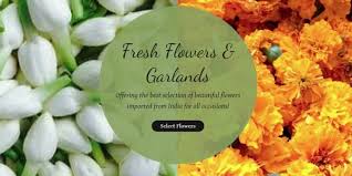 Among the wide range of jasmine strings & mullai strings online, choose the best for your wedding. Buy Fresh Jasmine Flowers Online From These 4 Websites Food For Net