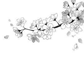 Untitled Via Tumblr Flower Drawing Anime Monochrome Flowers