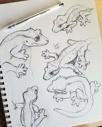 Crested Gecko Art Animal Sketches Sketch Book