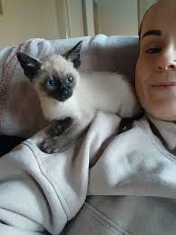 Meet this little sweetheart! 😍 Name him after what you eat today 🙏