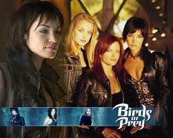 Birds Of Prey Tv Series Batgirl Birds Of Prey The Television Series Birds Of Prey Prey Tv Shows