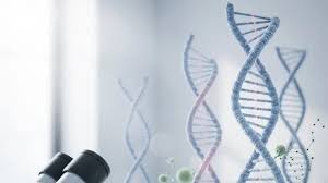 Image result for Regency HRT-2