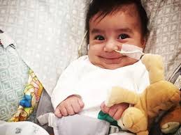 Resultados de la búsqueda de «»