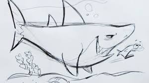 First draw the shark's eye. How To Draw A Cartoon Shark Step By Step Youtube