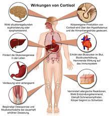 Betroffen sind der körperstamm sowie das gesicht. Cushing Syndrom Hyperkortisolismus Ursachen Beschwerden Therapie Gesundpedia De