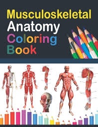If your child loves interacting. Musculoskeletal Anatomy Coloring Book Muscular Skeletal System Coloring Book For Kids Musculoskeletal Anatomy Coloring Pages For Kids Human Anato Paperback Kids Ink Children S Bookstore
