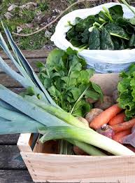 Cueillette A La Ferme A Toulouse Ramassez Vos Fruits Et Legumes Citizenkid