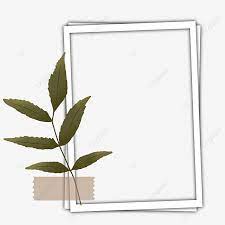 I am well on my way to creating a digital picture frame for my final project. Aesthetic Leaf Transparent Tape Polaroid Frame Social Media Pressed Leaves Dry Leaves Aesthetic Leaf Png Transparent Clipart Image And Psd File For Free Download