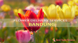 Harga mulai dari rp807.000 per malam | kapasitas maks. The 5 Best Options For Flower Delivery In Bandung 2021