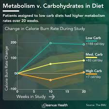 Low Carb Diets Increase Your Metabolism