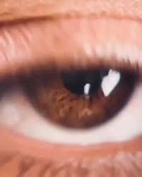 العيون البنية Video Beautiful Photography Nature Aesthetic Photography Photo Ideas Girl