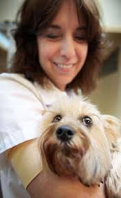 Marijuana poisoning sickens dog