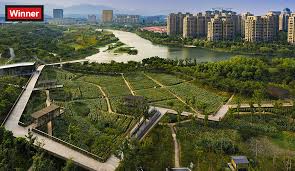 Professional award winners represent the best of landscape architecture in the general design, residential design, analysis & planning, communications, and research categories. 2017 Az Awards Winner Landscape Architecture Azure Magazine Azure Magazine