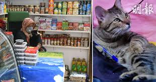 魚涌 油塘 調景嶺 將軍澳 坑口 寶琳 康城. Ahub6fft1wpuym