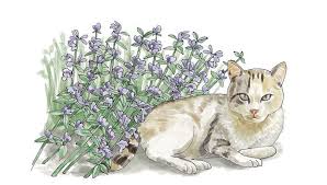 Maybe you would like to learn more about one of these? How To Humanely Keep Wildlife Out Of The Garden