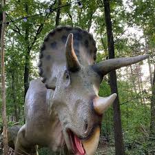 Onze missie, vacatures, duurzaamheid, doneren: Photos At Dierenpark Amersfoort Dinobos Birkhoven En Bokkeduinen 10 Tips From 585 Visitors
