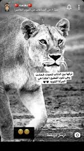 pin by nana on نوني artsy photos arabic funny cute relationship goals
