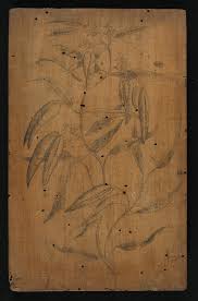 Image result for Secamone alpini