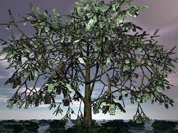 The Money Tree Part 1 The Seed Money Trees How The Universe Works Tree