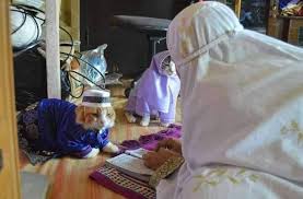 ( pre hook ) esok akan lagi baik, aku pasti yang dikejar tak dapat, aku pasti yang terjumpa dapat balik, aku pasti buat buat buat lagi tapi gua sekarang kena. Gerak Lu Pape Roger Malayviners Twitter