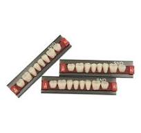 acrylic resin teeth