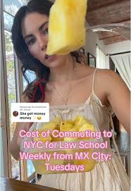 Respuesta a @.ency6 Total cost listed at the end for Tuesday travel 🛬  #commute #nyc #travel #mexicocity #cdmx #flight #diml #lawschol #lawstudent  #lawtok #traveltok